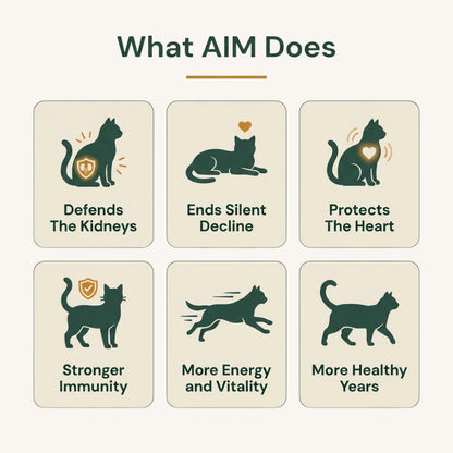 HappyCats AIM, Unlock Your Cat’s Longest, Healthiest Life – Claim 50% Off Today