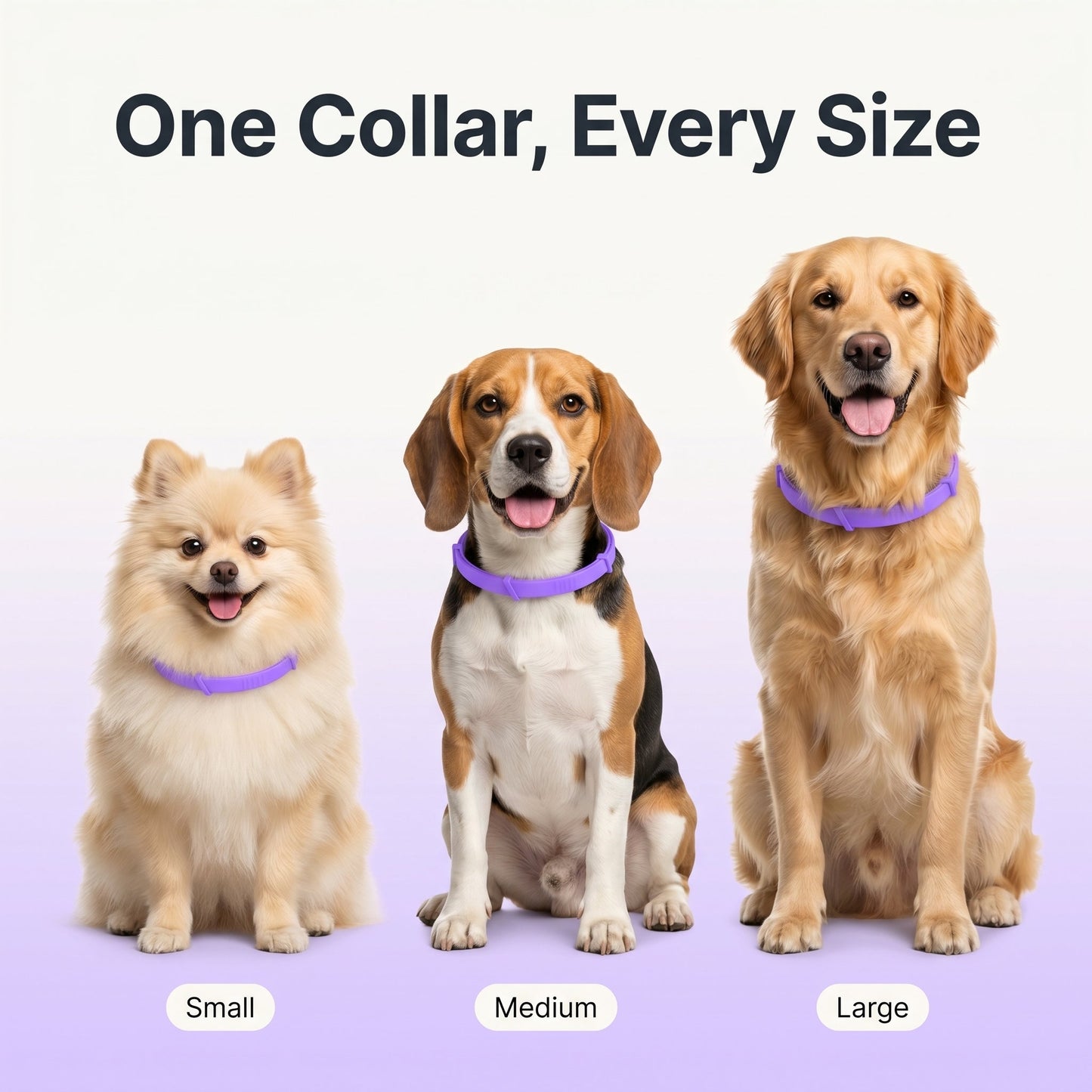 Tidevella Pets - All Natural Protection (8 Months Tick and Flea Collar for Dogs)