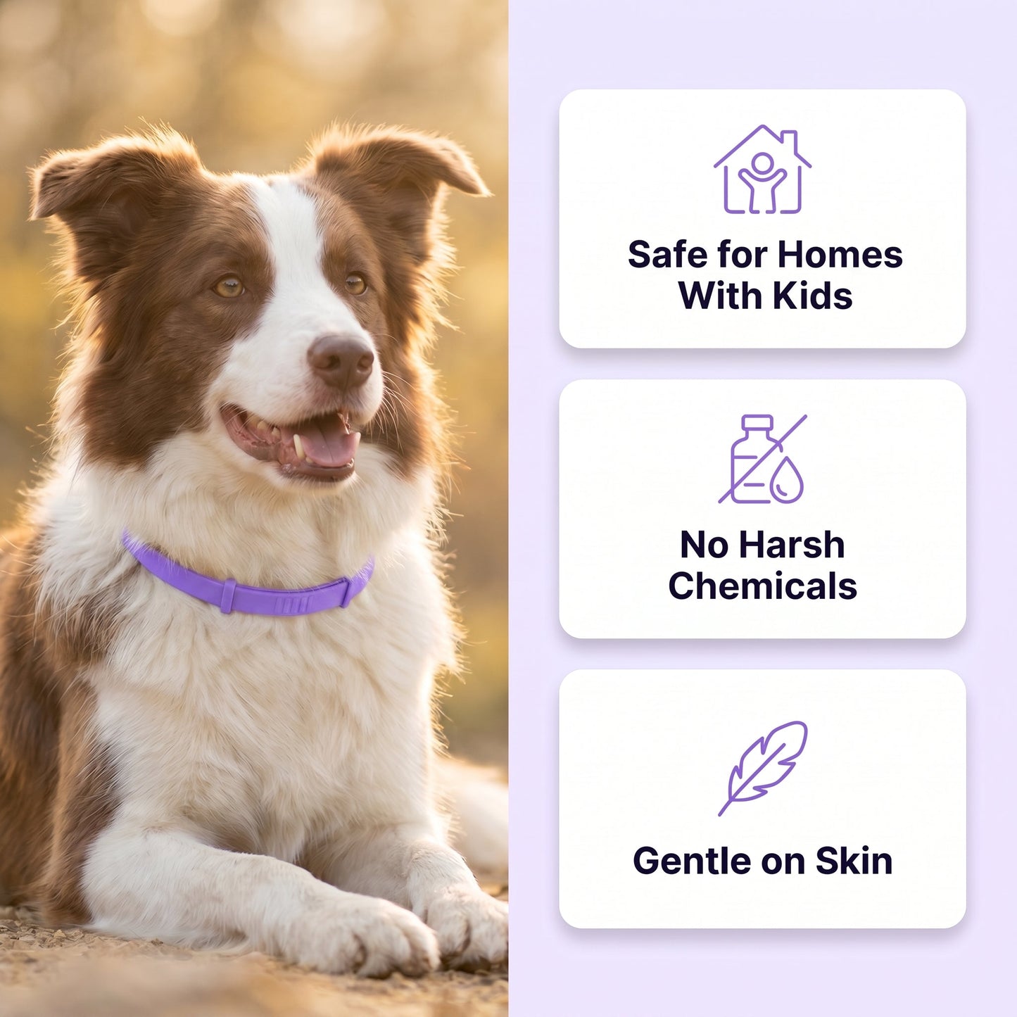 Tidevella Pets - All Natural Protection (8 Months Tick and Flea Collar for Dogs)