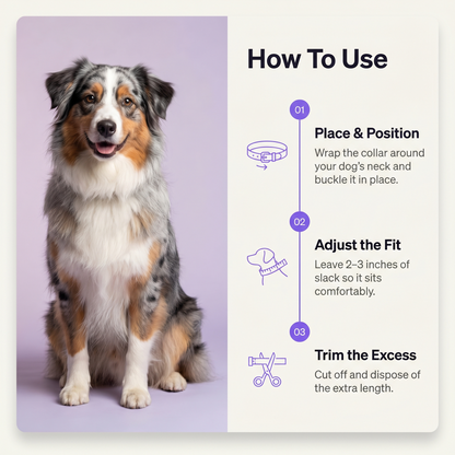 Tidevella Pets - All Natural Protection (8 Months Tick and Flea Collar for Dogs)
