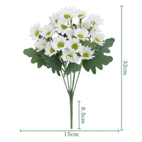 5 Bundle of Ivory