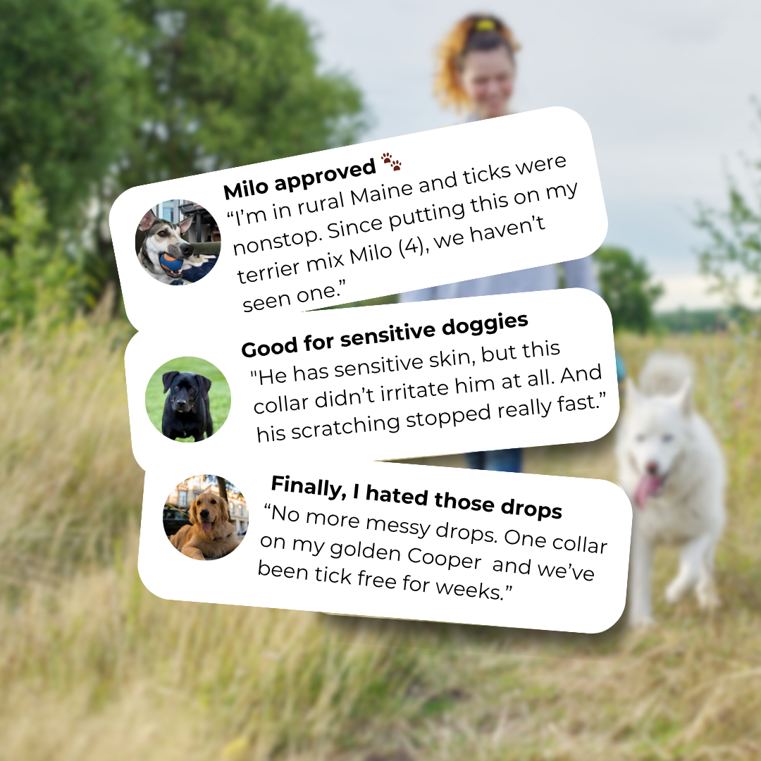 Tidevella Pets - All Natural Protection (8 Months Tick and Flea Collar for Dogs)