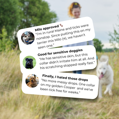 Tidevella Pets - All Natural Protection (8 Months Tick and Flea Collar for Dogs)
