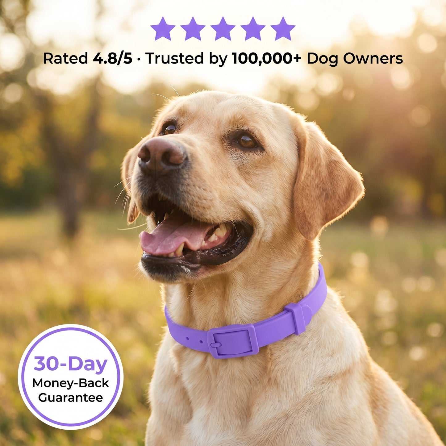 Tidevella Pets - All Natural Protection (8 Months Tick and Flea Collar for Dogs)