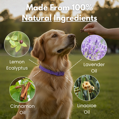 Tidevella Pets - All Natural Protection (8 Months Tick and Flea Collar for Dogs)
