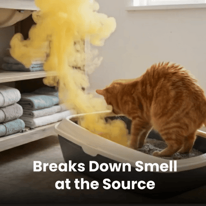 Eliminate Pet Smells In Under 24 Hours & Stop Them From Coming Back